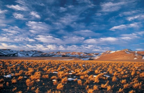 codelco-litio-cchen