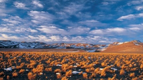 codelco-litio-salar-maricunga-contraloria