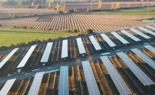 SERC Chile impulsa en el país el primer proyecto en latinoamérica que utiliza energía agrovoltaica