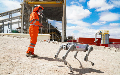 División Gabriela Mistral incorpora robot cuadrúpedo para prevenir enfermedades profesionales