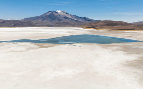 Primer Tribunal Ambiental revisa medidas cautelares que mantienen suspendidas faenas de Quiborax en Arica