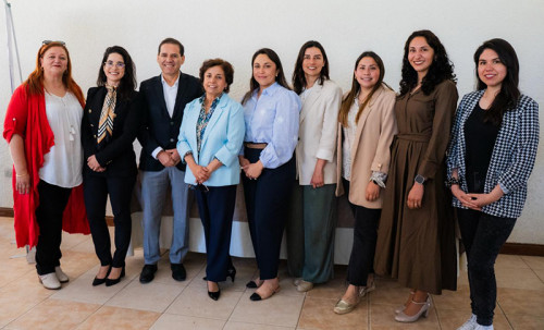 CMP destaca el rol estratégico del hierro chileno en el proceso global de descarbonización