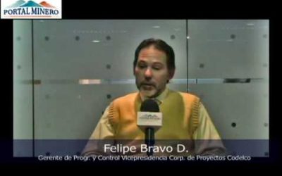 Testimonial Codelco Felipe Bravo D.