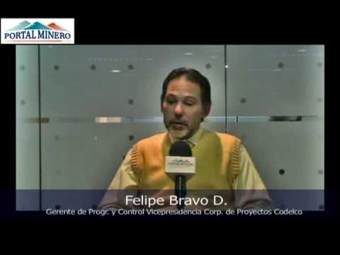 Testimonial Codelco Felipe Bravo D.