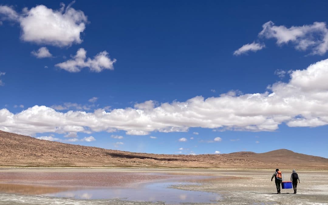 Teck anuncia programa de conservación de tierras en Chile y Canadá