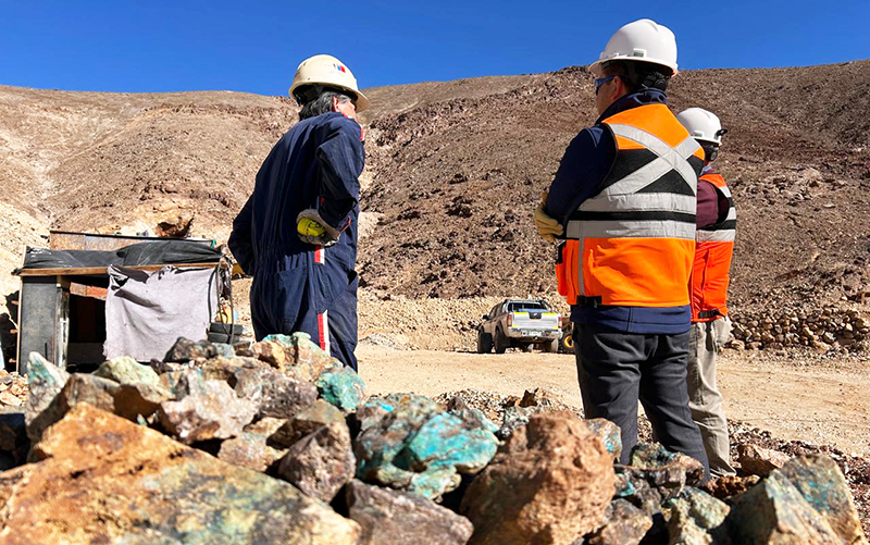 Agrumin pide extender suspensión de los remates de pertenencias mineras a todas las regiones del país