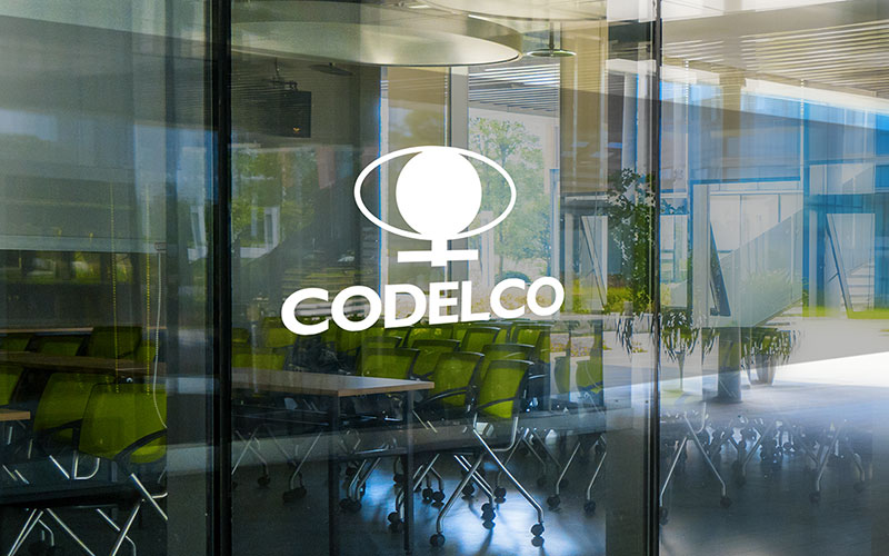 Codelco presenta ante la Cámara prioridades estratégicas y medidas derivadas de auditoría a la producción