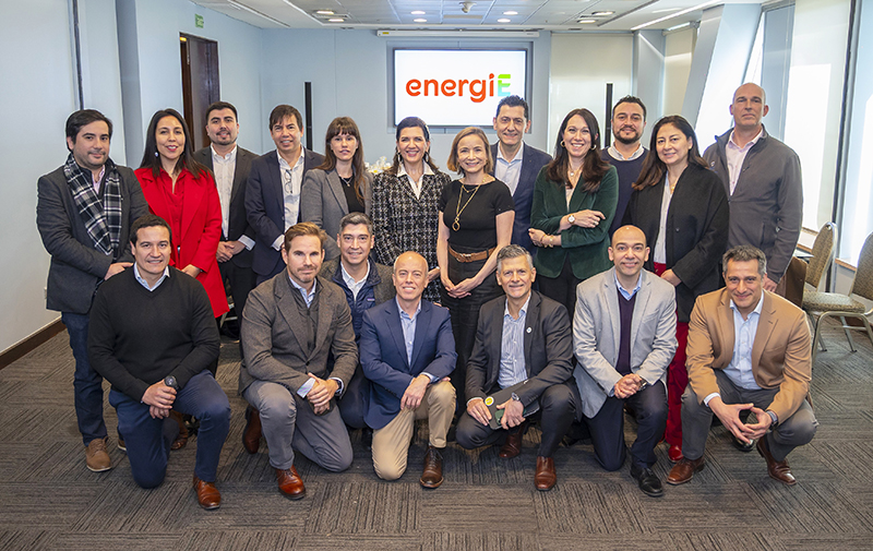 Industria energética plantea reformas al mercado y mayor foco en seguridad del sistema