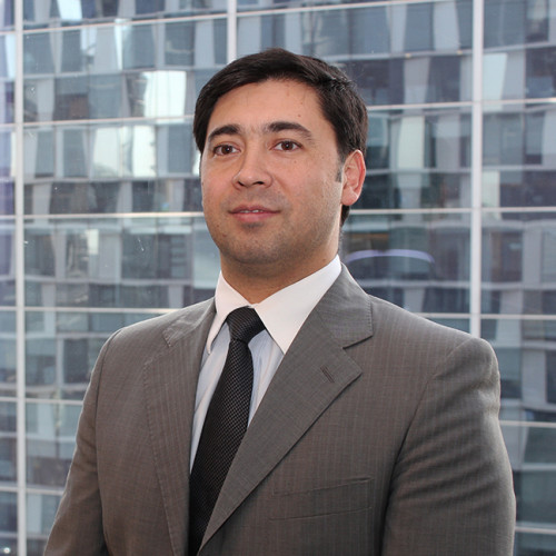 David Falcón, director de Deloitte y experto en Sustentabilidad