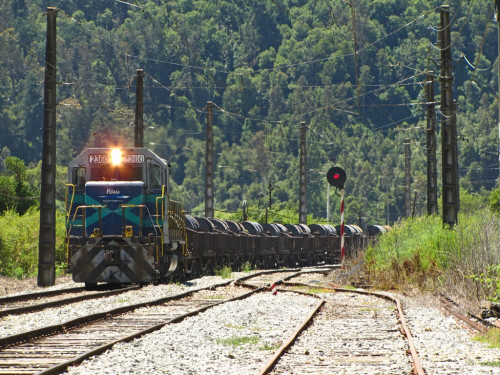 Fepasa prevé aumento de sus volúmenes de carga pero lamenta abandono y desinversión estatal en infraestructura ferroviaria