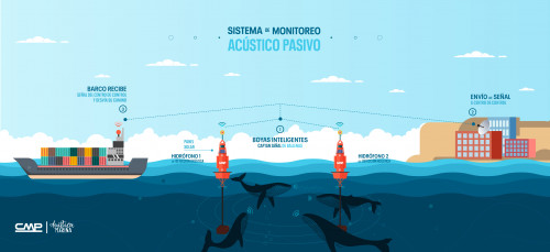 CMP instalará «Boyas Hidroacústicas” para el monitoreo y detección de fauna marina y embarcaciones