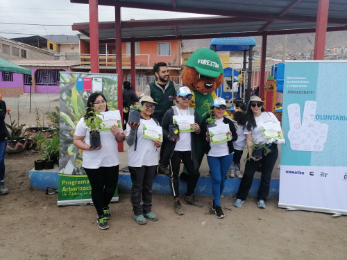 Voluntarios de Grupo Komatsu Cummins participaron de jornada de arborización en barrio Salitreras Unidas de Antofagasta