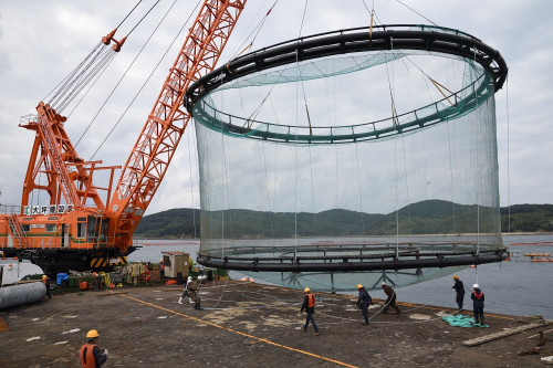 Chilena EcoSea logra reciclar el 100 de sus sistemas acuícolas