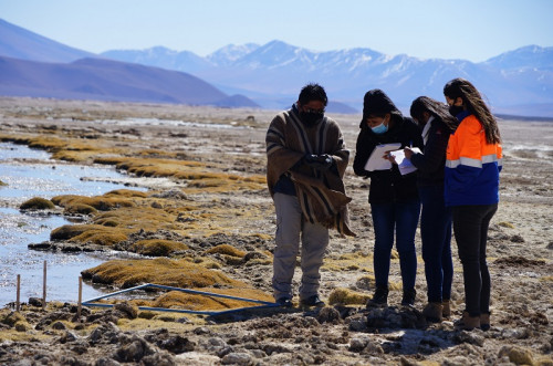 Minera El Abra busca capacitar monitores ambientales para la Comunidad de Ollagüe