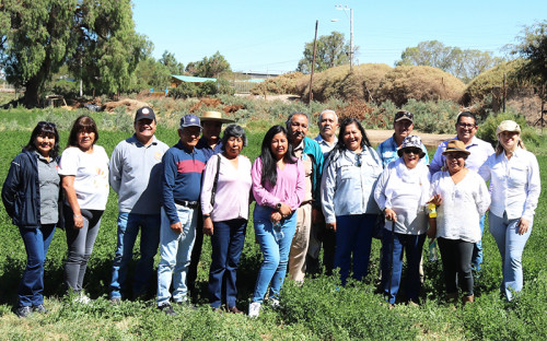 Beneficiarios de la Corporación Asociación de Agricultores de Calama culminan con éxito programas comunitarios