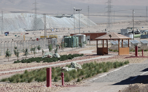 Parque Sustentable «Paatcha»: el nuevo pulmón verde de la División Ministro Hales