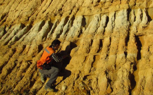 Profesionales del Plan Nacional de Geología de Sernageomin trabaja en la costa de la Región del Maule