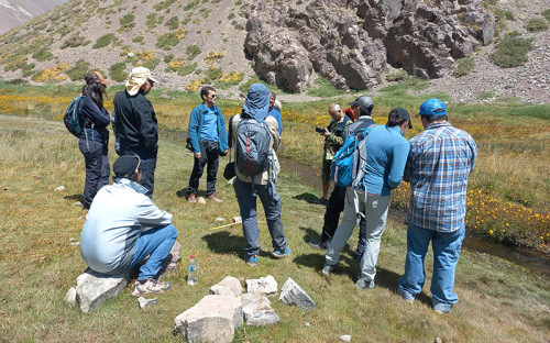 Cummins Chile y The Nature Conservancy inician ambicioso trabajo conjunto de monitoreo de humedales en río Maipo