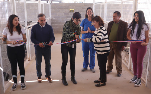Fundación animalista inaugura nueva infraestructura gracias a fondos concursables de Codelco Distrito Norte