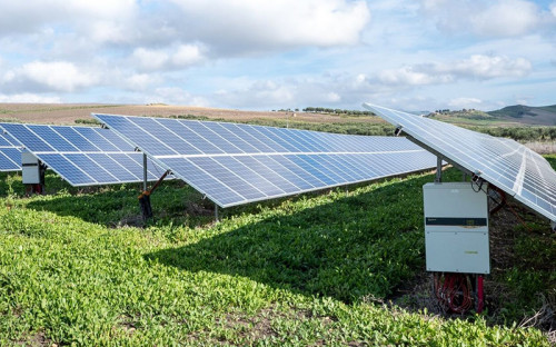 Tecnología Agrovoltaica: La tendencia que revolucionará al sector agrícola