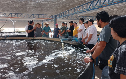 Proyectos 100% con energía solar impulsan la producción de agricultura y acuicultura en el norte de Chile