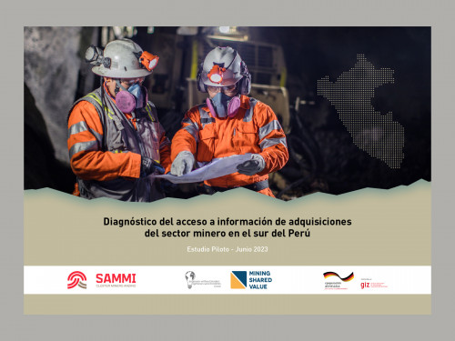 Estudio piloto revela que falta de estandarización en compras es una de las principales brechas del sector minero en Perú