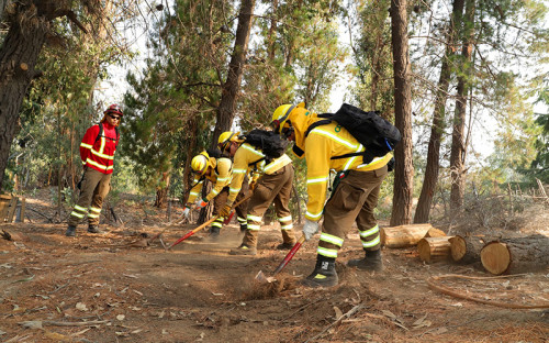 División El Teniente y Conaf unen esfuerzos para prevenir incendios en período estival