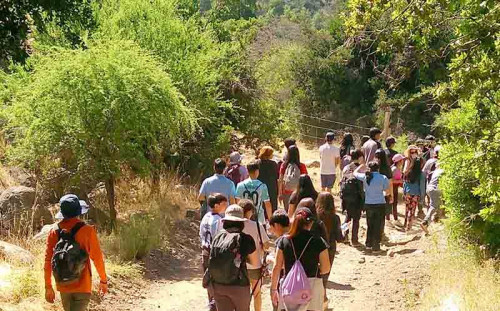 Estudiantes de Machalí realizan visita educativa a Estero Los Leones junto al Club Andino Rancagua