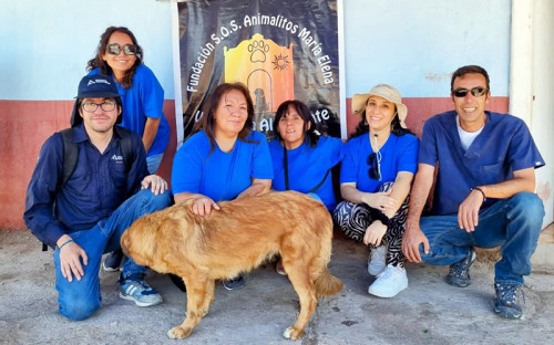 Más de 120 animales comunitarios fueron esterilizados en María Elena
