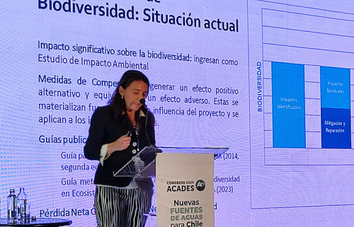 Gerenta Ambiental de Pares&Alvarez destaca estrategias ambientales en Congreso Acades 2024