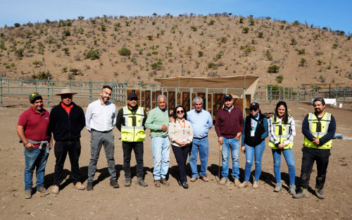 Codelco Andina apoya a los arrieros de Chacabuco con obras que fortalecen sus tradiciones