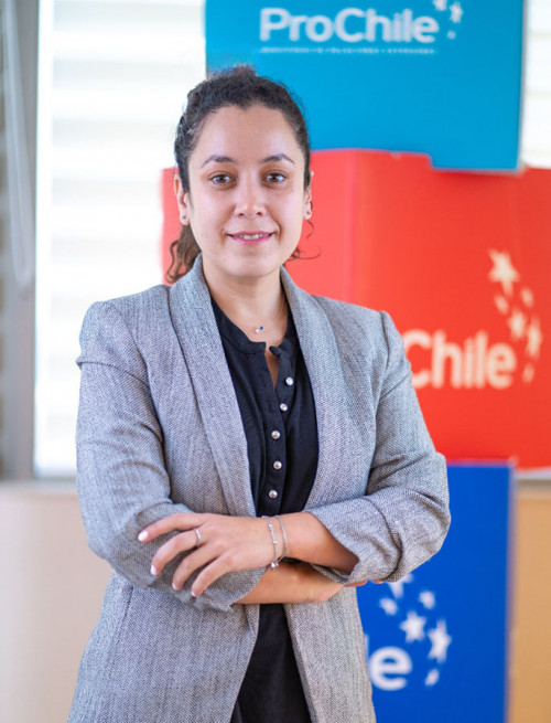 Exportando conocimiento y soluciones mineras al mundo