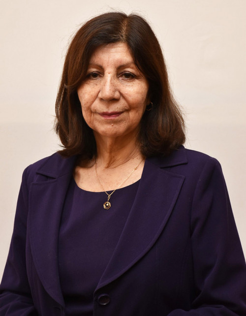 Atacama y el desafío de una red eléctrica más inteligente