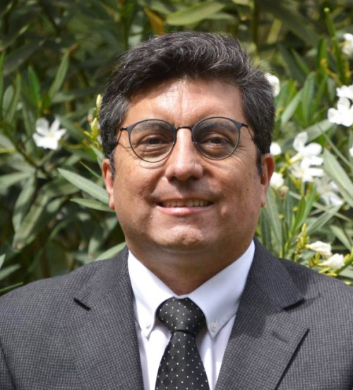 Entra en vigencia la Ley de Delitos Económicos y Ambientales
