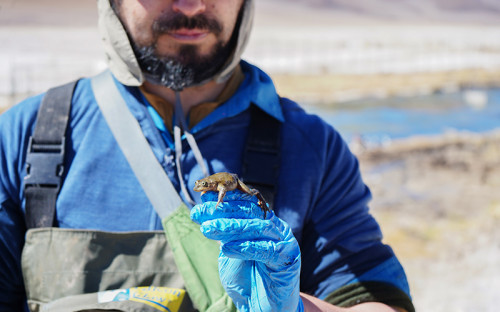 Compromiso Minero destaca avances del sector en la protección del medio ambiente y la biodiversidad