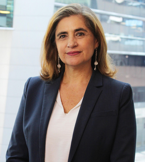 El desafío que enfrentan los directorios mineros