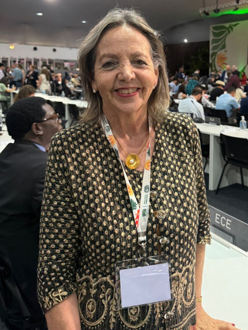 Entre el calor y la coherencia: lo que se juega en Belém