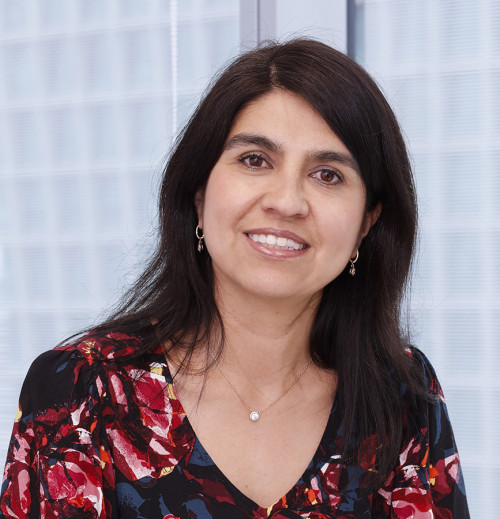 Minería en Chile y Argentina: una oportunidad definida por la colaboración