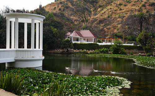 Jardín Botánico de Viña invita a visitar sus espacios recreativos recuperados tras el megaincendio de hace un año