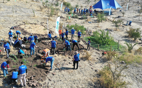 Fluor completa nueva jornada de reforestación junto a Cultiva y supera los 1.300 árboles plantados en Chile