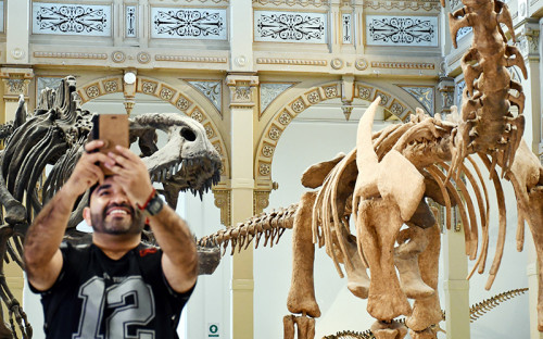 Exposición “Dinosaurios al Sur del Mundo” cierra exitosamente el verano con 250 mil visitas