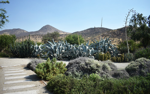Parque Jardín Botánico Quilapilún de Anglo American es acreditado internacionalmente
