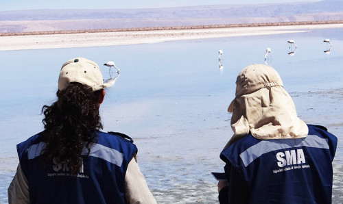 Más herramientas digitales y seguimiento masivo: así operará la nueva estrategia de RILes de la SMA