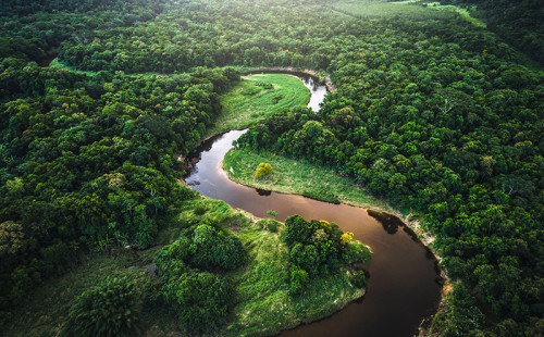 Arcadis reafirma su compromiso global con la sostenibilidad en la COP30