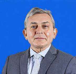 Más desarrollo en Litio exige nueva Institucionalidad