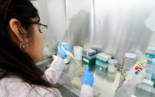 Estudio revela cómo la I+D e innovación impulsan la productividad y competitividad en las empresas chilenas