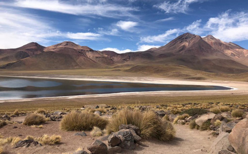 Minería: integrar sostenibilidad en los proyectos mineros impulsa su viabilidad