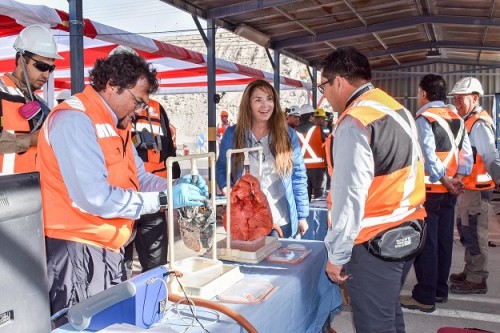 Chuquicamata realiza feria Mi seguridad se transforma para un verano seguro”