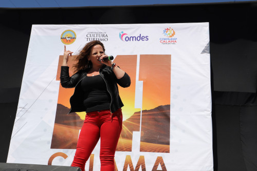Artistas locales participarán con intervenciones seguras en Calama Ayuda a Calama”