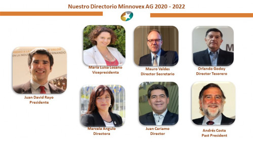 Minnovex elige nuevo directorio para el periodo 2020-2022